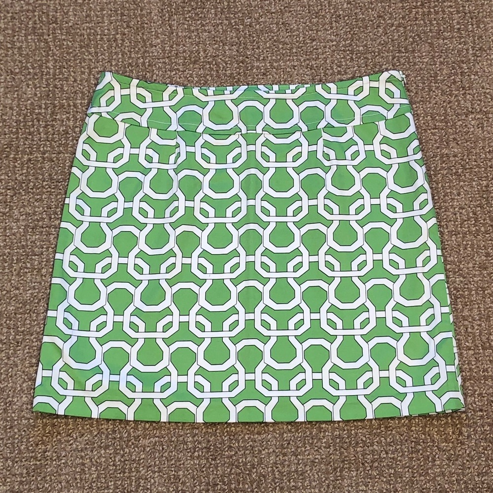 Skirtin Around Green & White Skirt